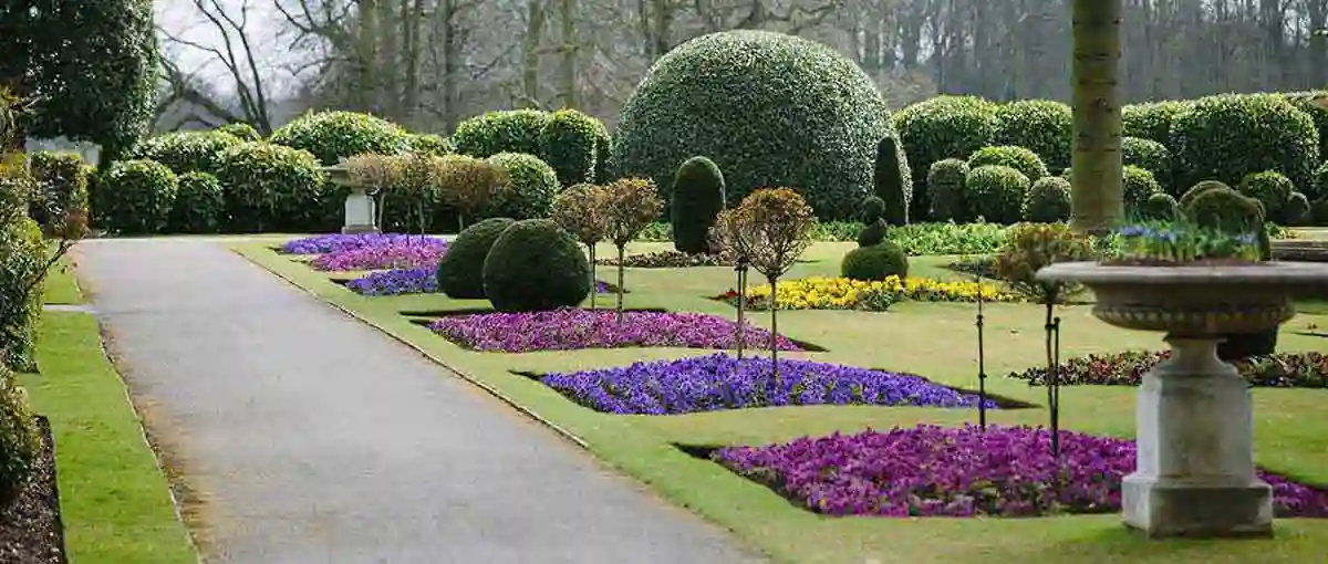 Gardeners choice for plants