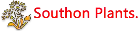 Southon plants of Dormansland logo
